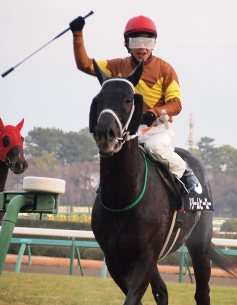 121222中山12Ｒ　ドリームヒーロー1.JPG