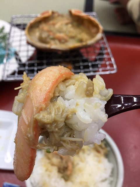 17.jpg