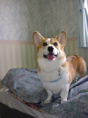 DSC00007.jpg