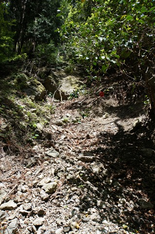 DSC03420.JPG