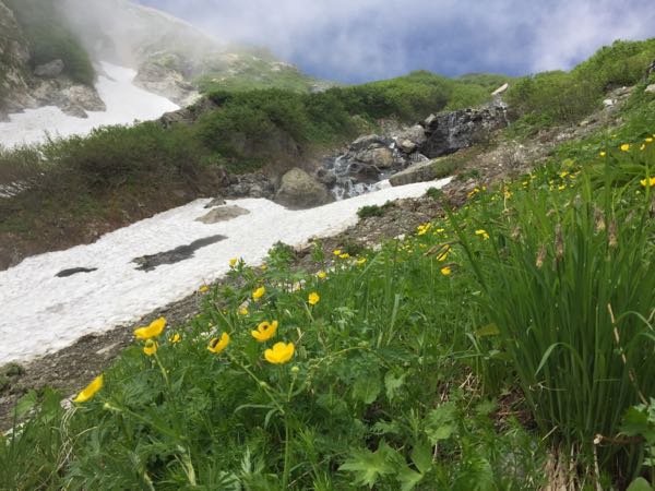 rblog-20170715052353-02.jpg
