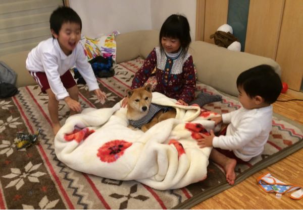 rblog-20151213044719-08.jpg