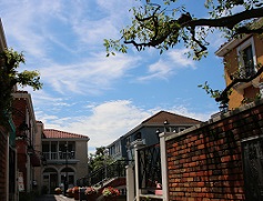 IMG_5648-11.jpg