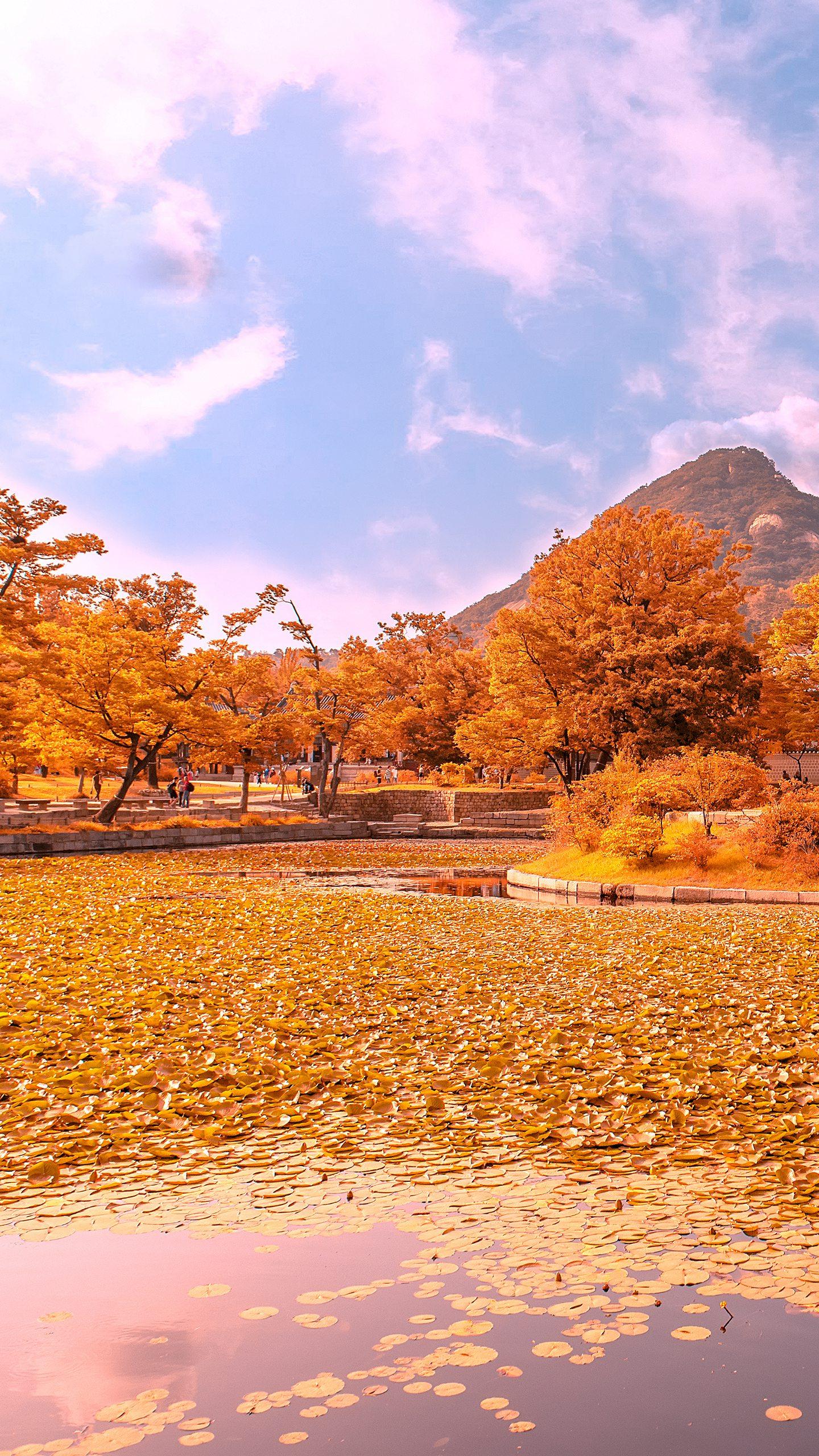 アラフォーひとり親人生色々です