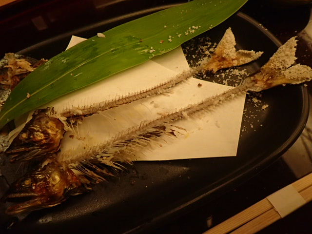 1609200058.JPG