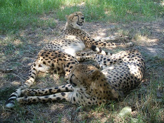 DSCF9587.JPG