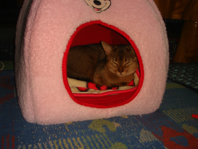 DSC07838.jpg