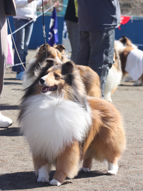 IMG_1008 - コピー.JPG