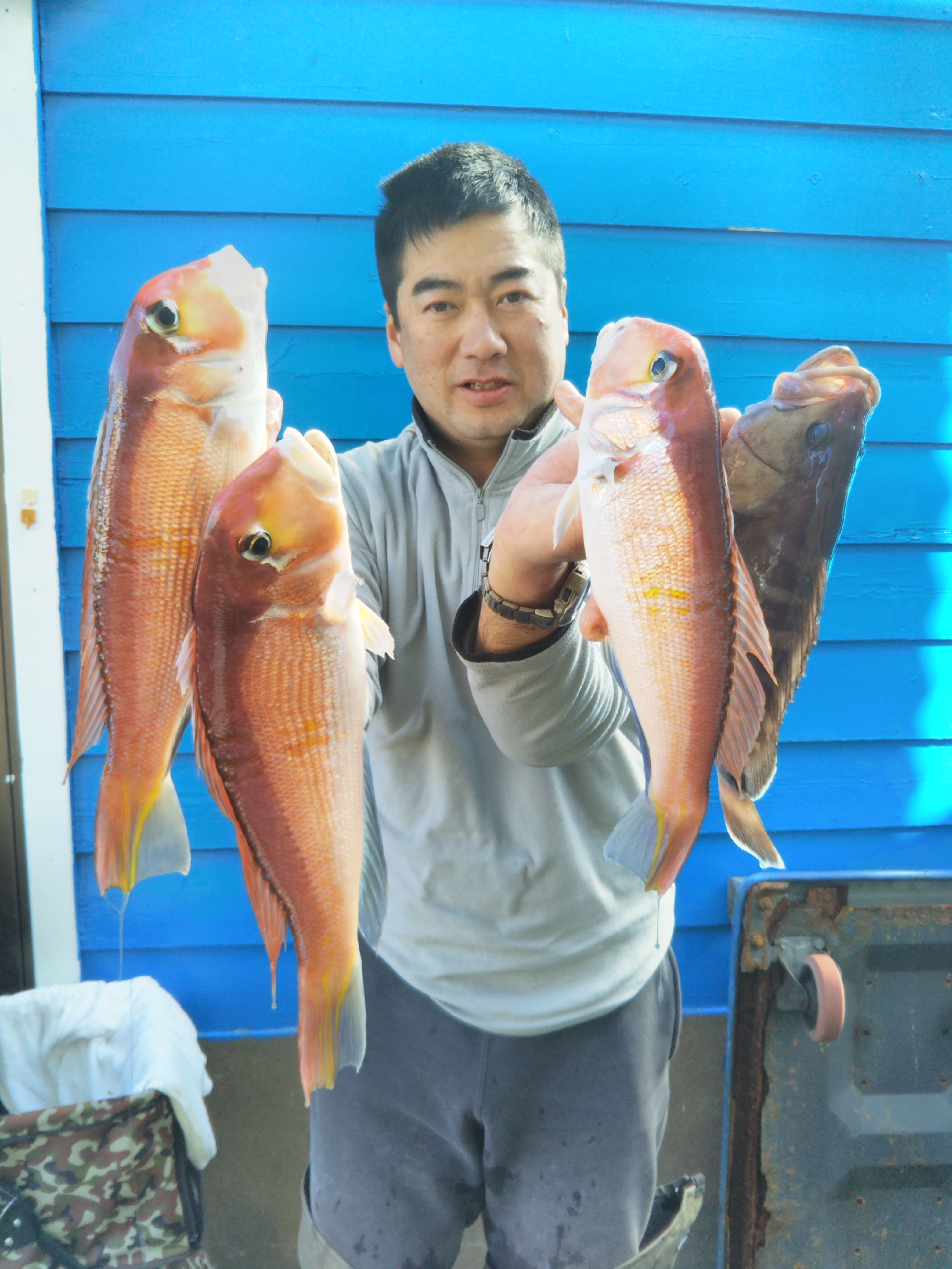 今日のアマダイ釣り ゆ 葉山 なごみ荘 シェアハウスオーナーの釣り日記 楽天ブログ