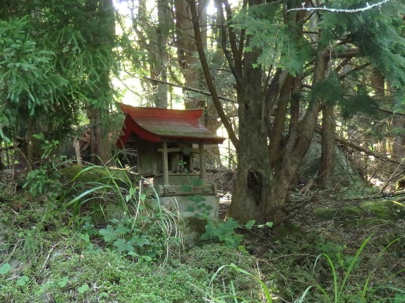 寒村の かじけ犬の遠吠え 楽天ブログ
