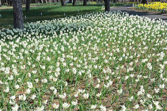 2013.3.22 003.JPG