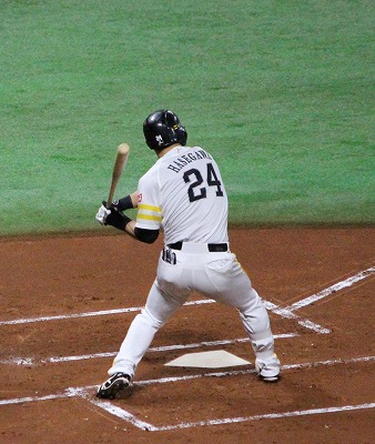IMG_3368.jpg