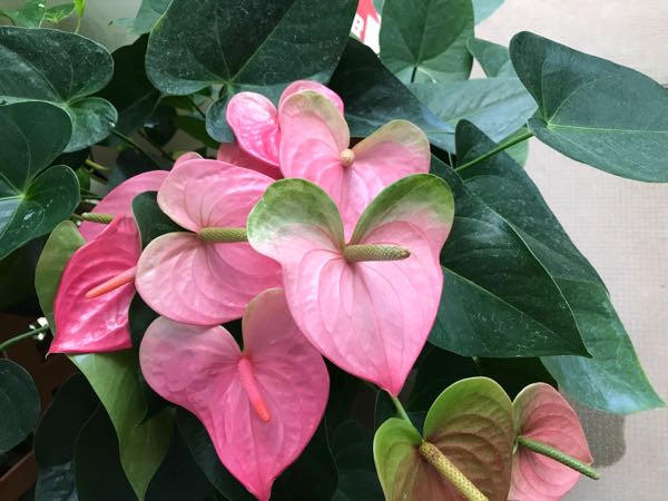 rblog-20170521205214-01.jpg