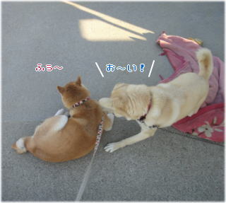 0127朝6.jpg
