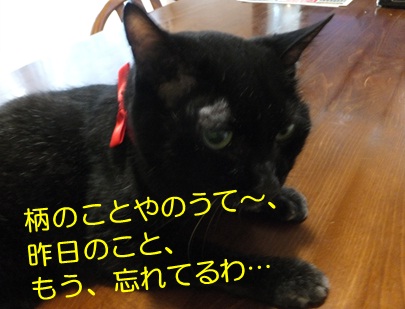20120906_2.jpg