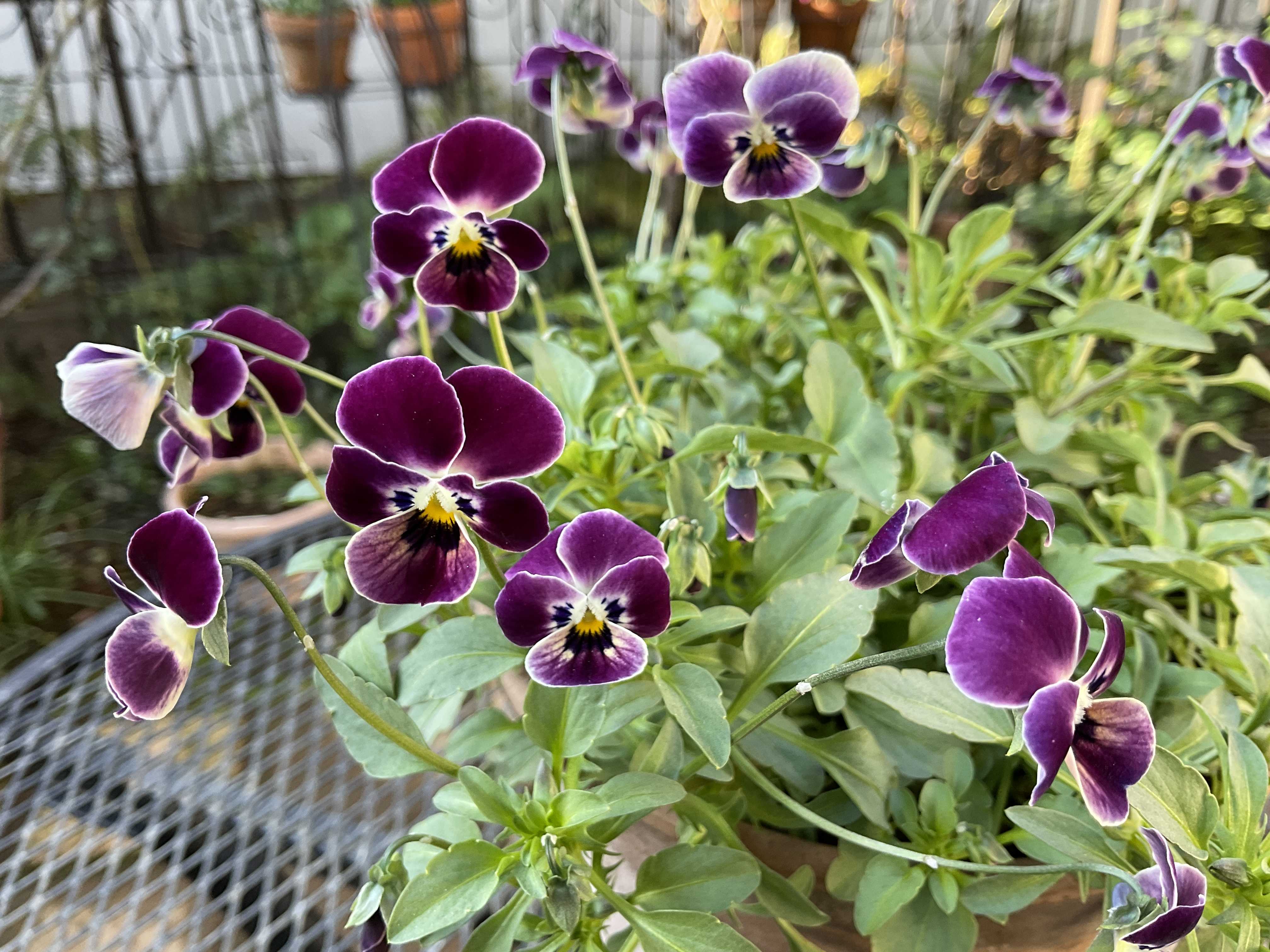 【レア】anachronorm 限定 ベスト flatbush 花火 コラボ ANACHRONORM Rayon Hand Print L/S Shirt / hanabi | FLATBUSH