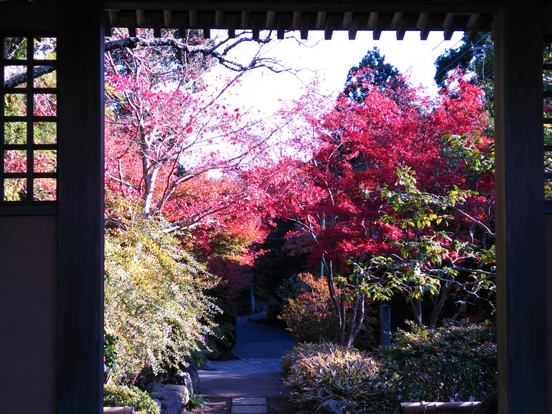 2013紅葉06.jpg