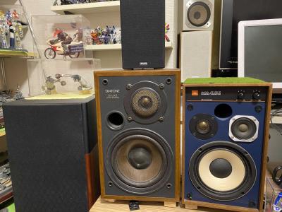 オーディオバカが往く(番外) どうしたんだ？DS-200Z | 無用の人