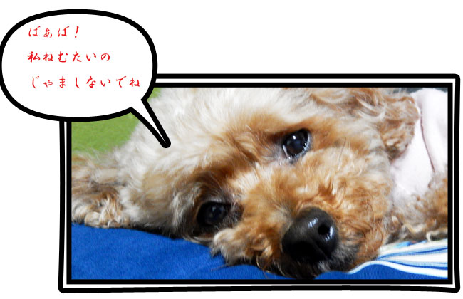 こころ２７