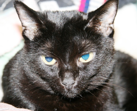 20131204ナナ.jpg