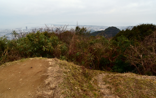 立花山山頂から