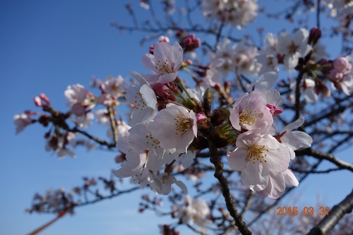 DSC02093.JPG