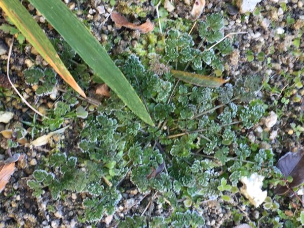 rblog-20170125094458-10.jpg