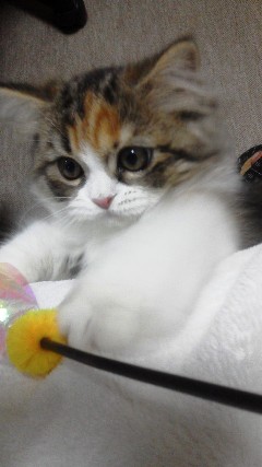 20130723225632.jpg