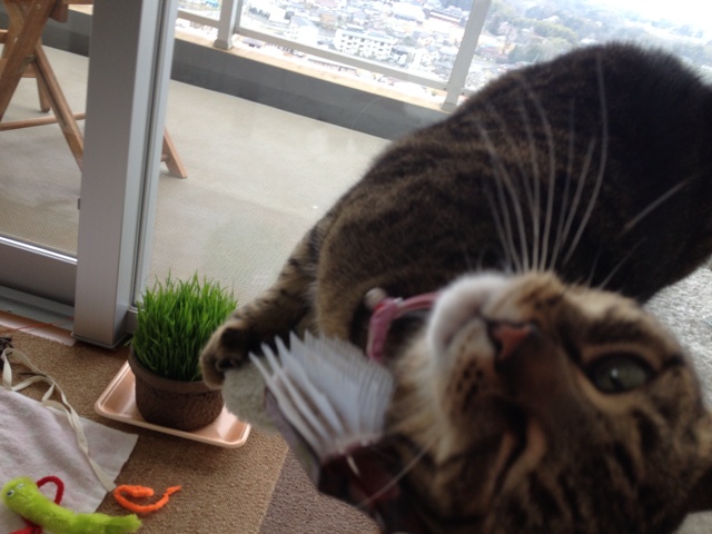 rblog-20130324103757-00.jpg