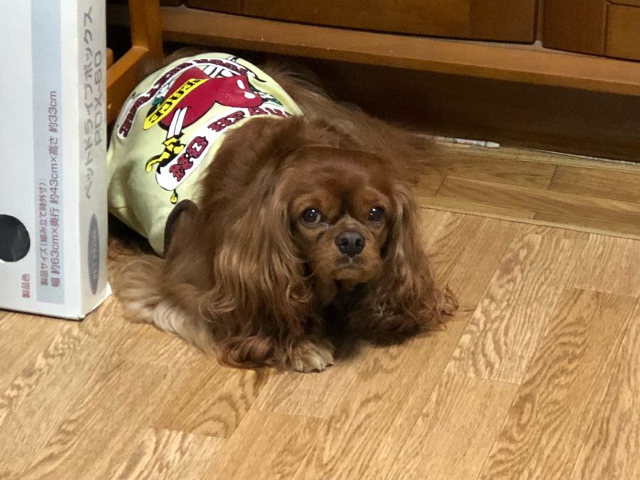 rblog-20181006212855-06.jpg