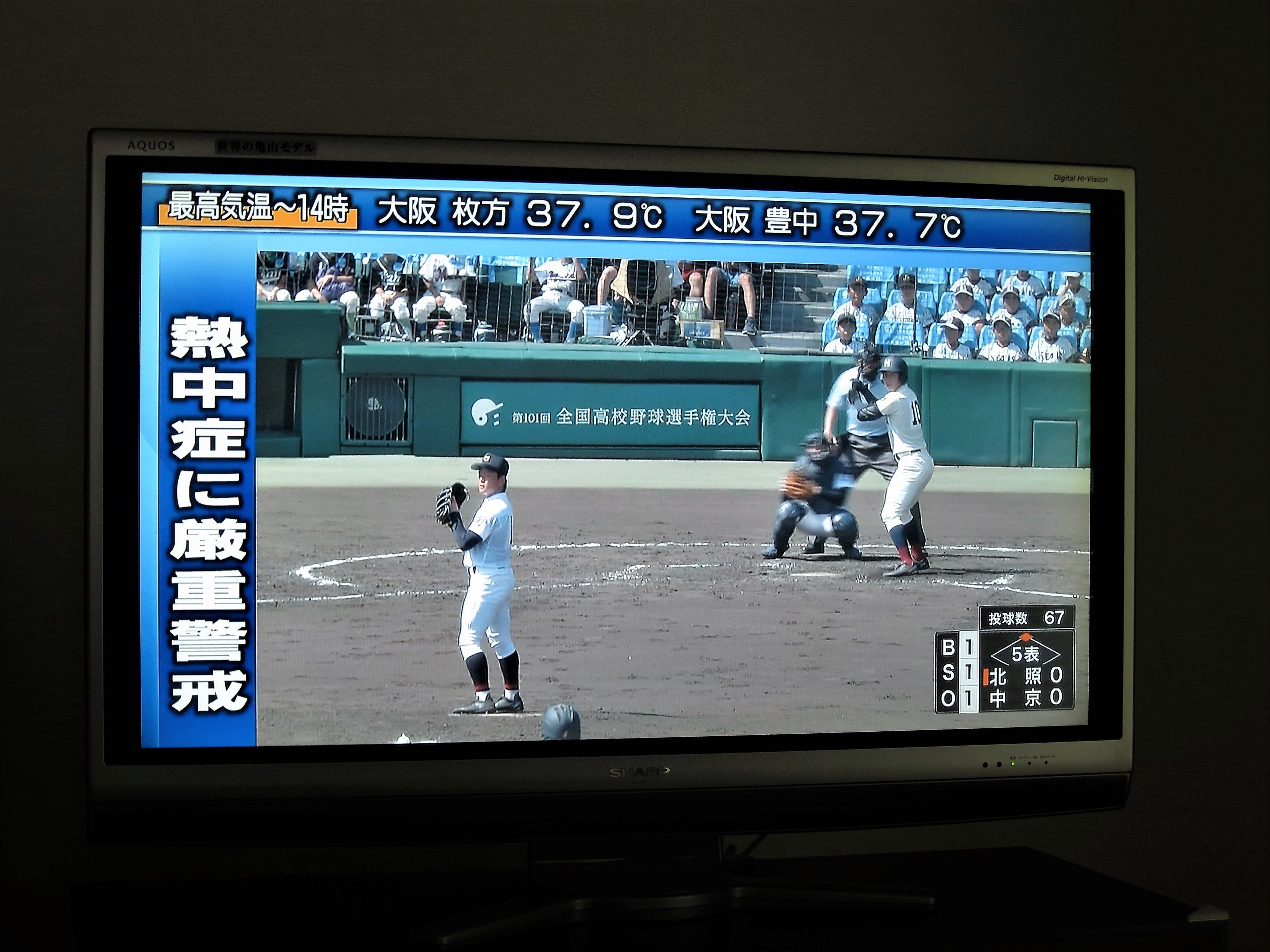 PANASONIC 有機EL4Kテレビ VIERA TH-55GZ1000』購入始末記 | Hanadai's