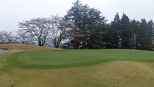 P4023113h3.jpg