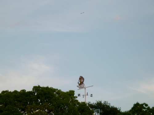 024 (500x375).jpg