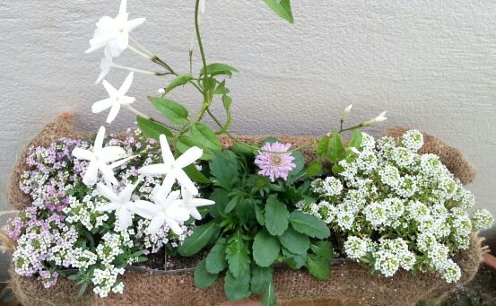 rblog-20140619145251-01.jpg