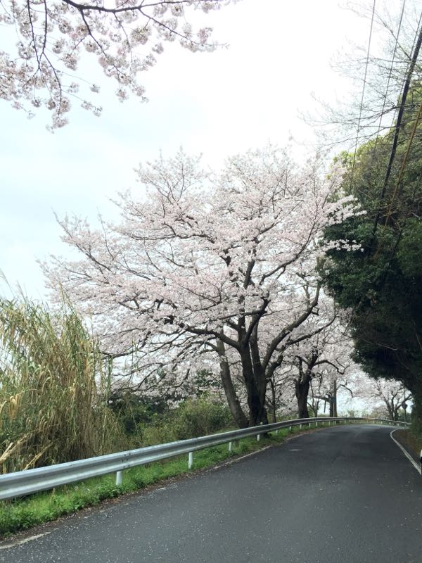 rblog-20160406174853-06.jpg