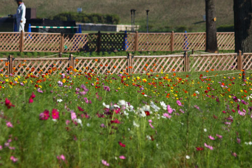 木曽三川公園　26.9.22-2.jpg