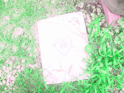 DSCN6372.JPG