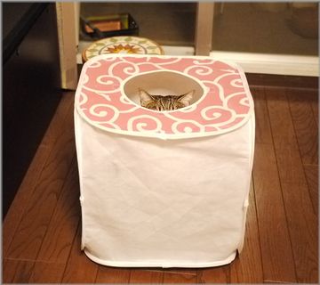 ただ入ってるだけ