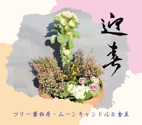 2016年賀