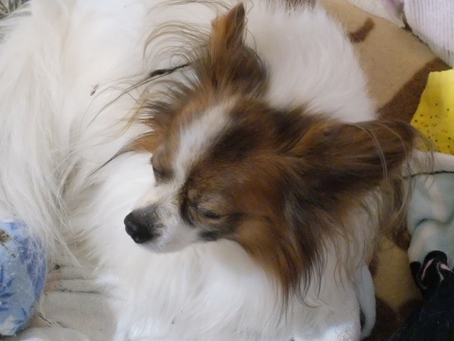DSCF1246.JPG