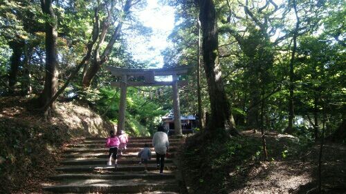 rblog-20180507214007-06.jpg