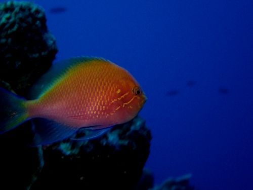 rblog-20180505182102-01.jpg