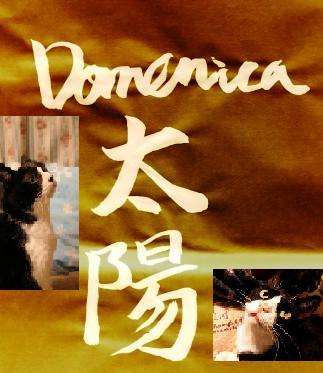 domenica.jpg
