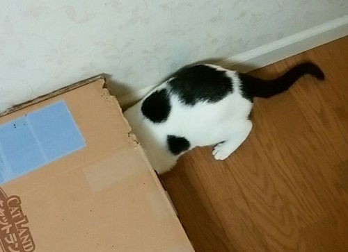 3492.jpg