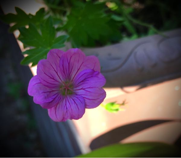 rblog-20160825165128-03.jpg