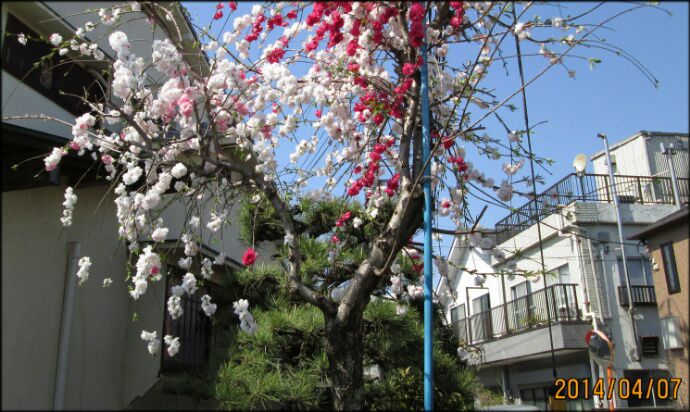 rblog-20140407200445-04.jpg