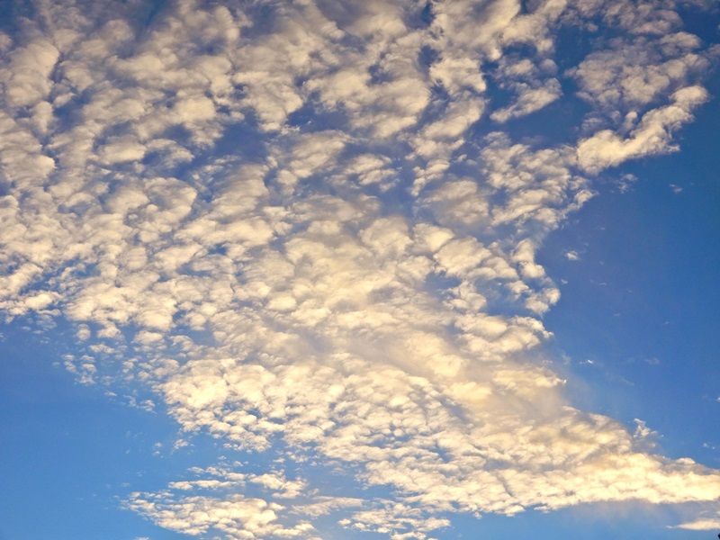 夕暮れ1