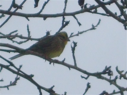 DSCF1778.JPG