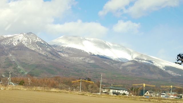 16452683_2030925948_222large.jpg