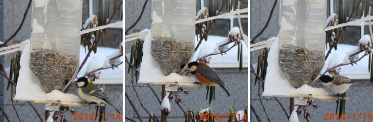 １／１４常連さん.jpg